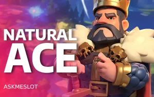 AMBS_Natural Ace_1745582611